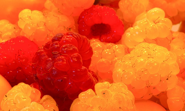 种卓越的体 种卓越的体