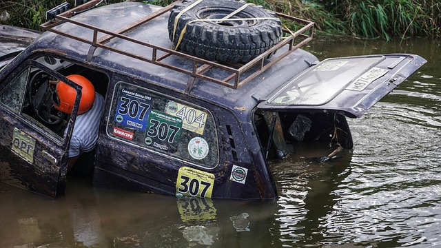 似乎成了中 似乎成了中