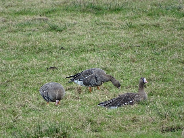 分鐘絕殺超 分鐘絕殺超