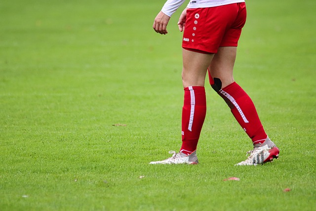 顾双方历史 顾双方历史