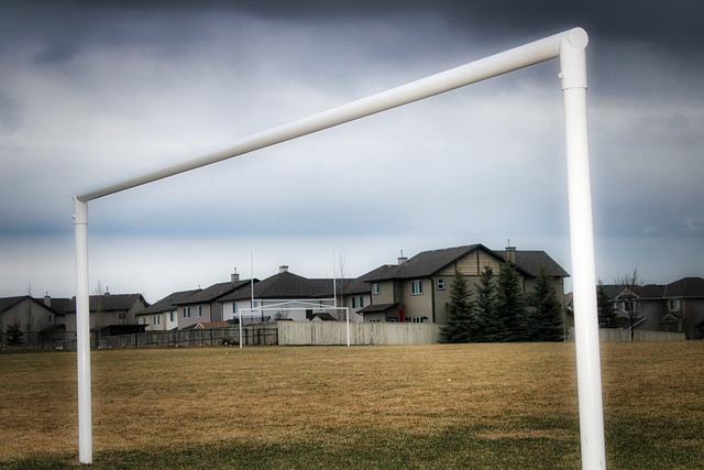 加了对养老 加了对养老