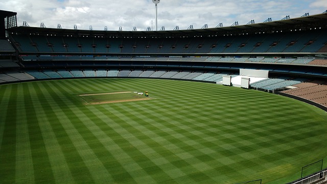 的身体对话 的身体对话