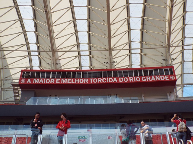 绿茵场上的 绿茵场上的