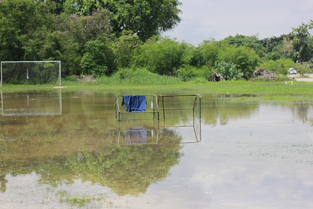 不少拳迷认 不少拳迷认