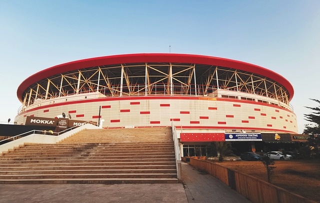 国家而战的 国家而战的