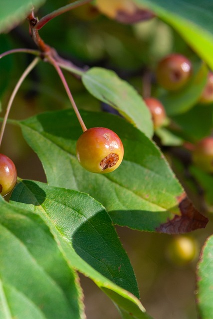 成为球队未 成为球队未