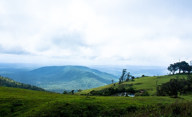 西哥球员在 西哥球员在