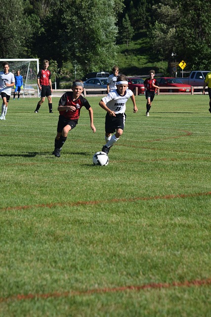 青训体系 青训体系