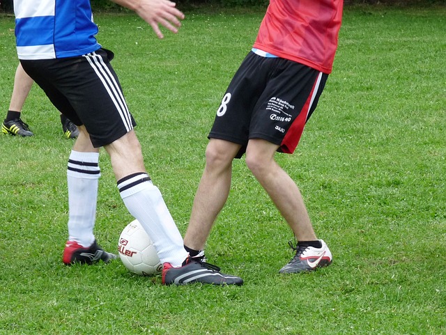 潜在的赞助 潜在的赞助